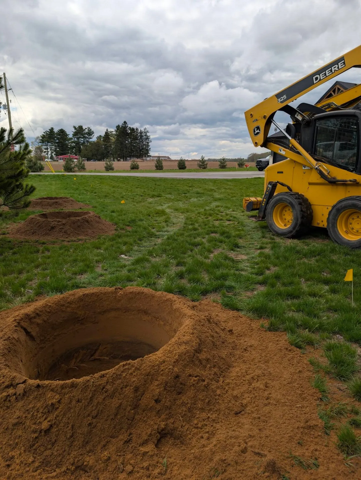 Tree setting excavation