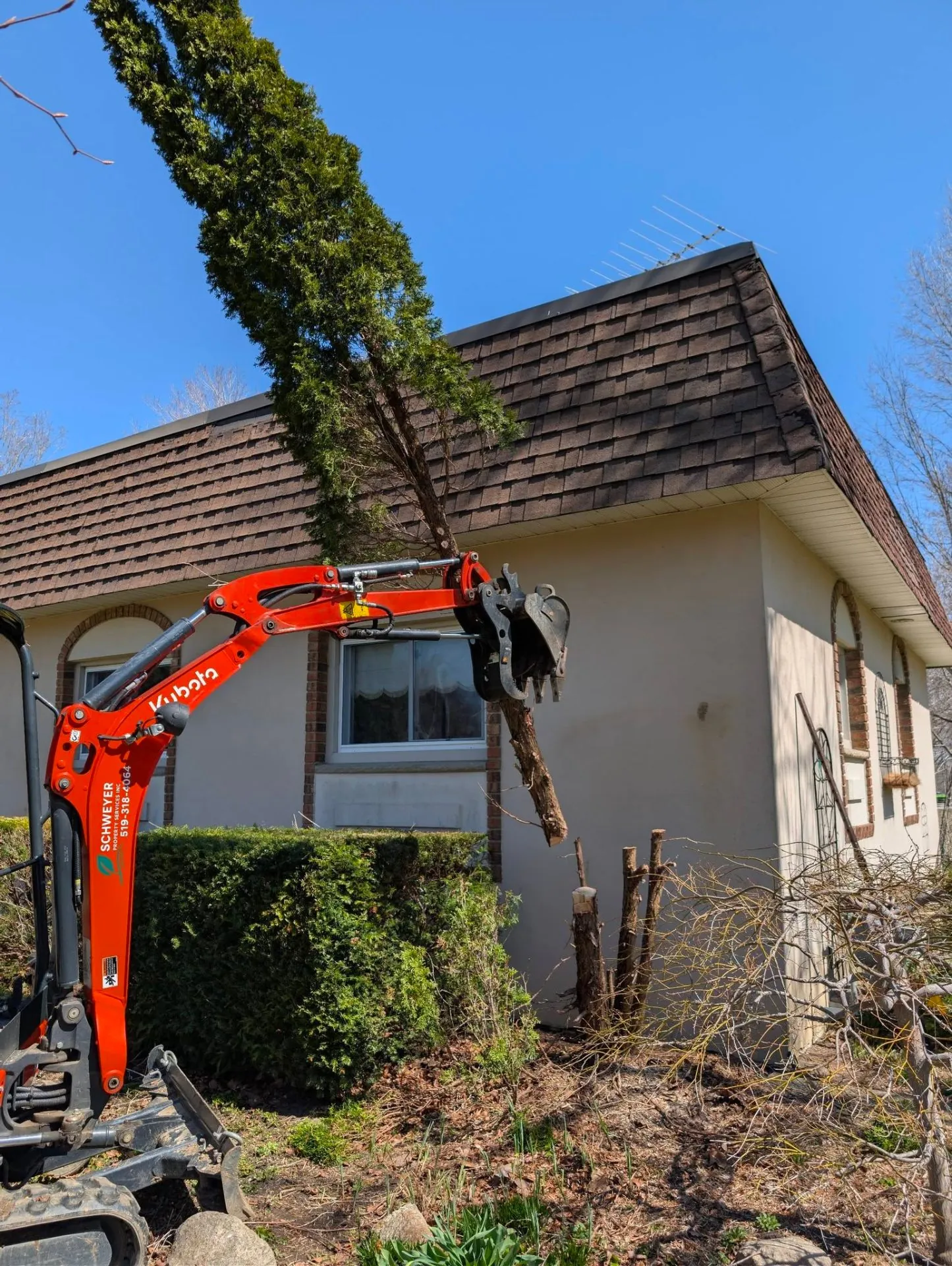 Tree & Shrub Removal Support