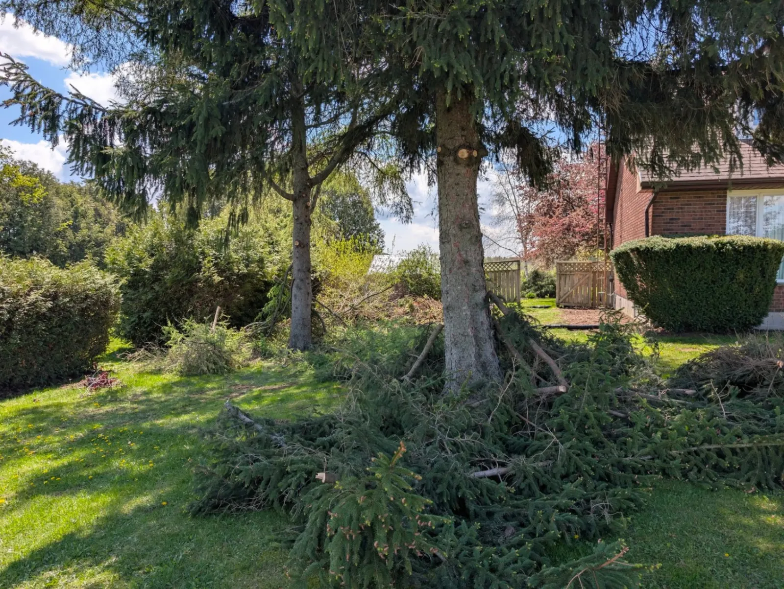 Property Maintenance