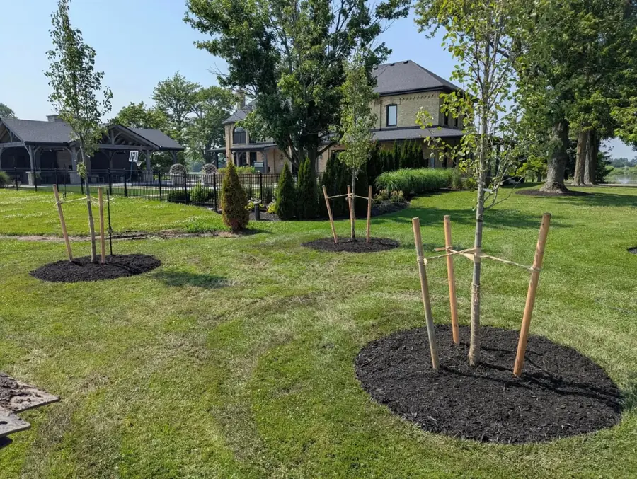 On site planting