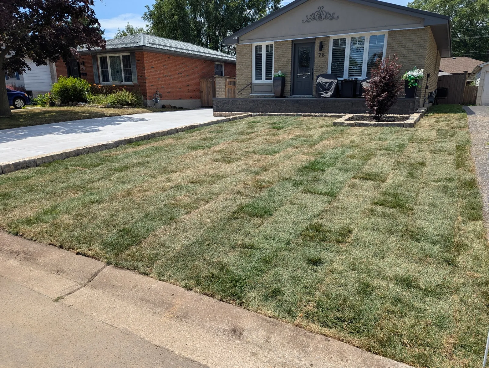 Sod & Landscape Installations