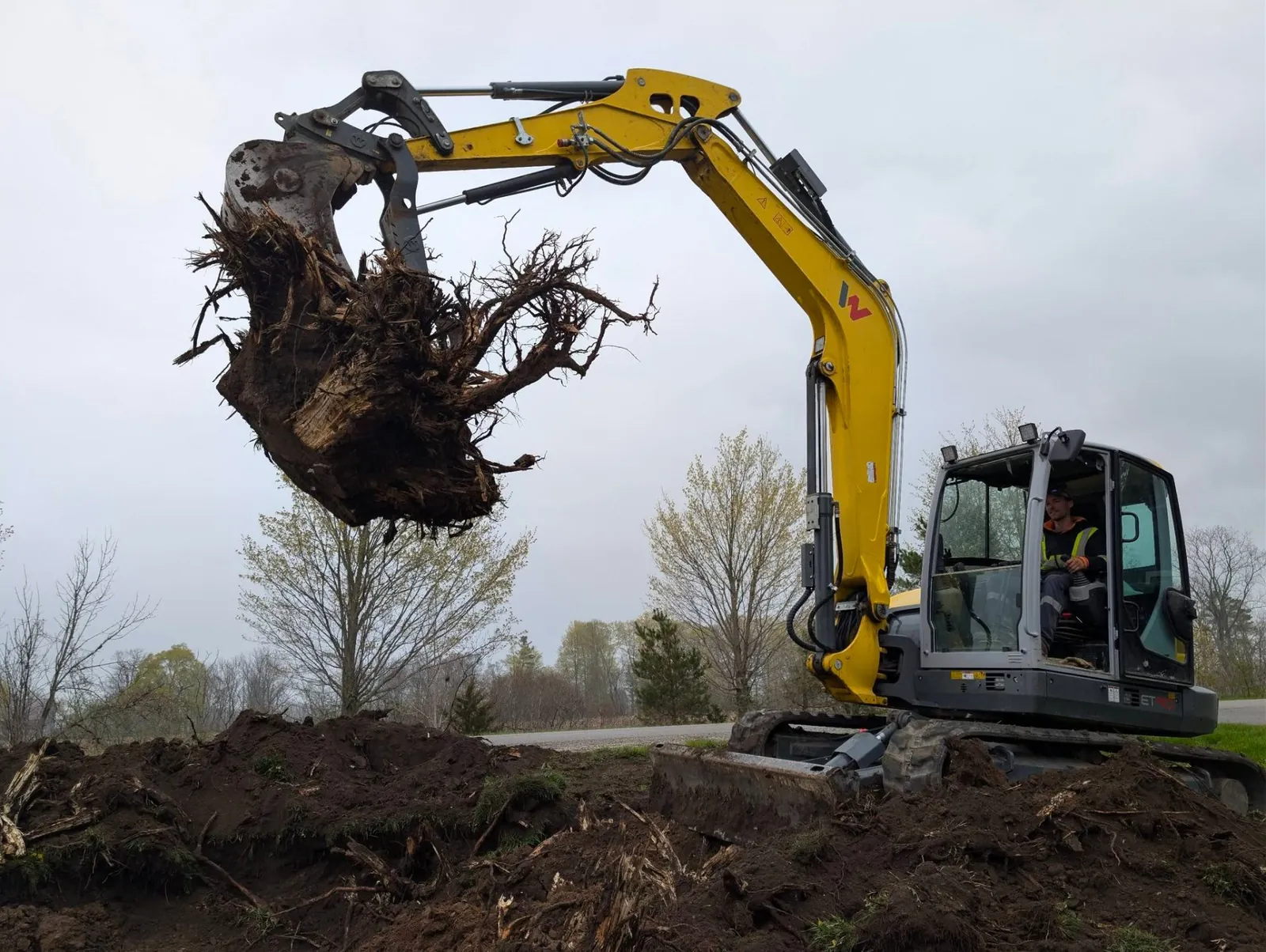 Stump & root extraction