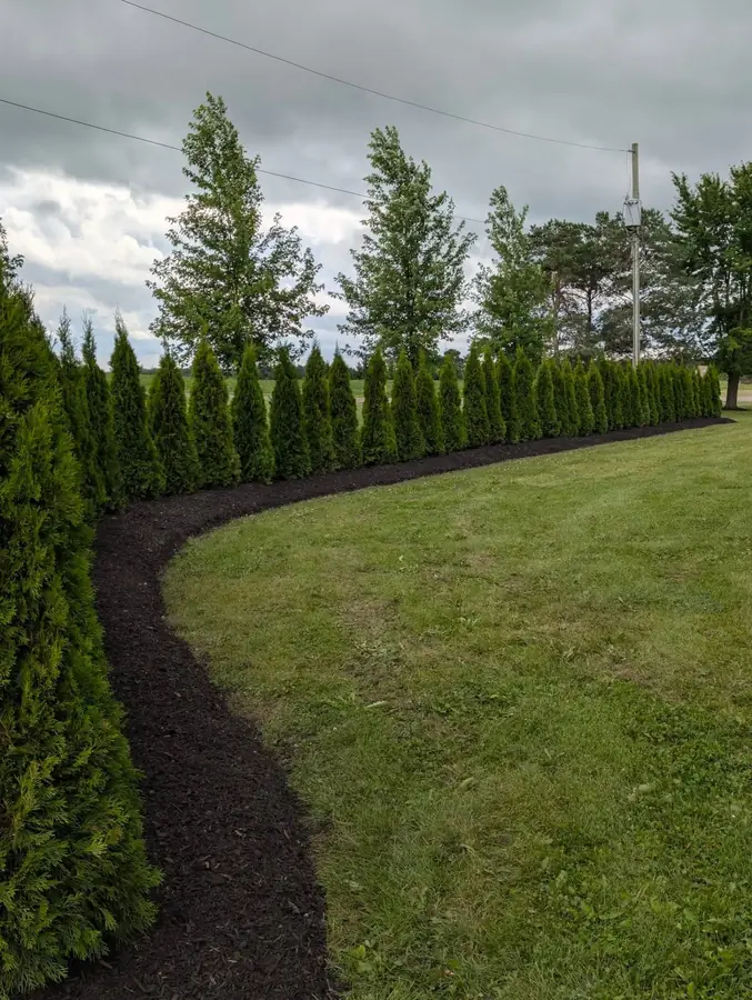 HOA community landscaping