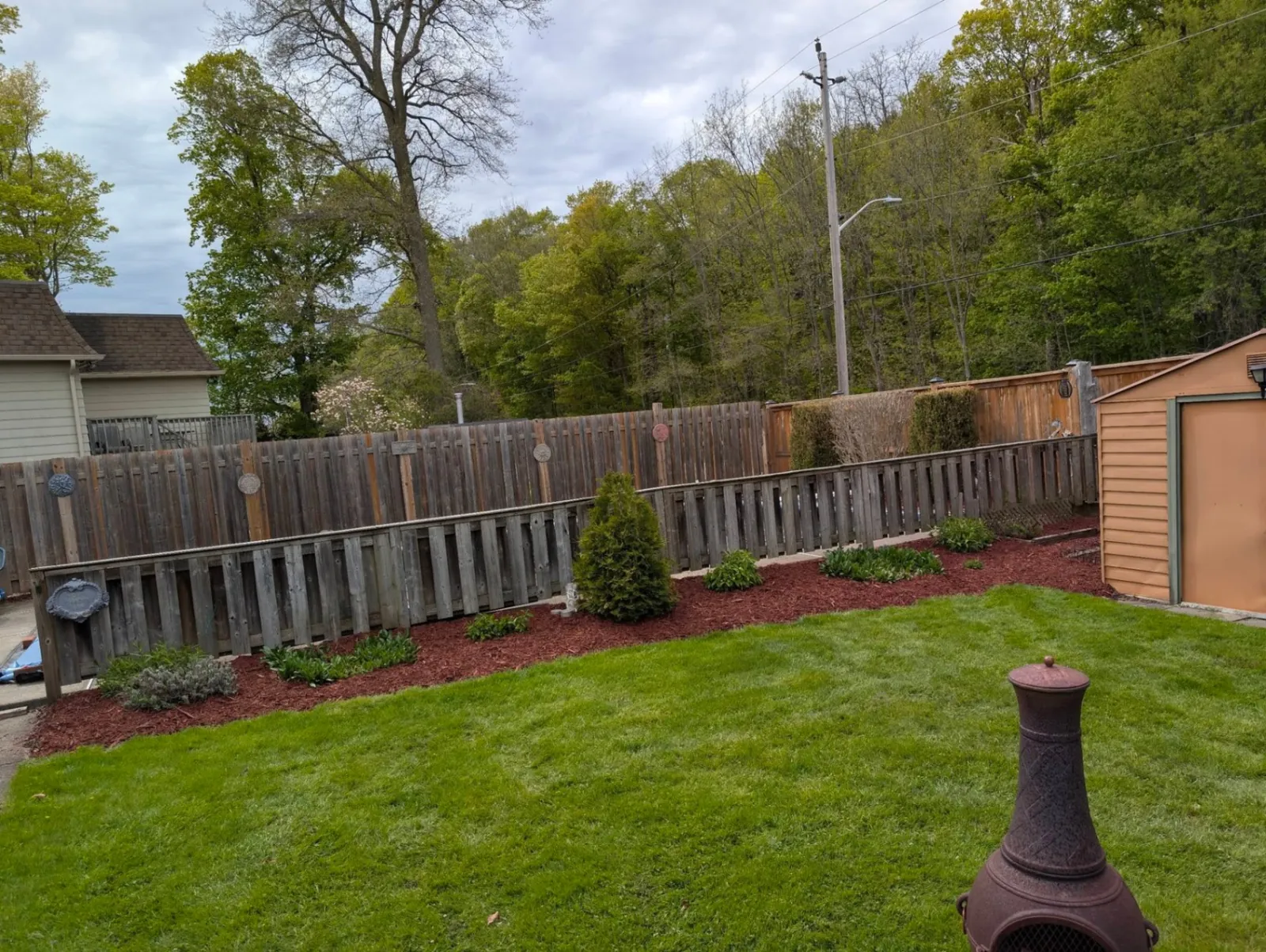 Backyard restoration